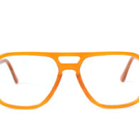 endor turtle (kopia)