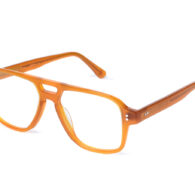 endor turtle (kopia)